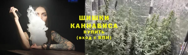 дмт Белокуриха
