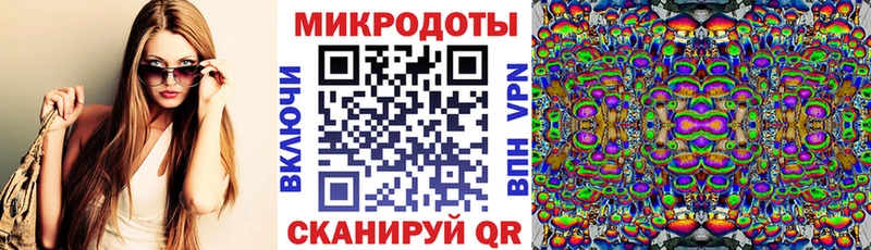 Псилоцибиновые грибы Psilocybe  kraken ССЫЛКА  Белая Холуница  цены  