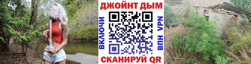 купить наркоту omg ссылка Марихуана гибрид Белая Холуница